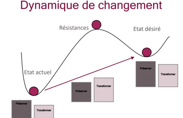 Leadership de transformation ou Leadership de préservation?  De laquelle de ces deux leadership avez-vous besoin aujourd’hui? /   Transformational Leadership or Preservation Leadership? Which of these two leadership do you need today?